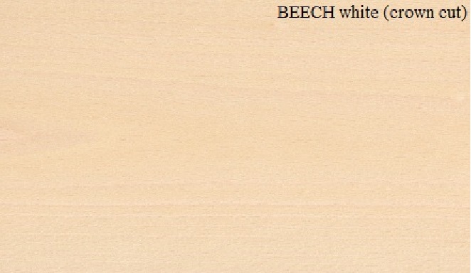 BEECH Thick constructional veneer